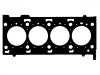 прокладка цилиндра Cylinder Head Gasket:48 18 004