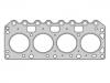прокладка цилиндра Cylinder Head Gasket:1 020 808