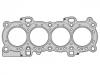 прокладка цилиндра Cylinder Head Gasket:1 304 003