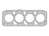 прокладка цилиндра Cylinder Head Gasket:6 474 024