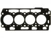 Cylinder Head Gasket:0209.AC