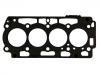 прокладка цилиндра Cylinder Head Gasket:0209.JQ