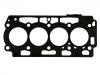 прокладка цилиндра Cylinder Head Gasket:0209.JP