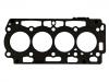 прокладка цилиндра Cylinder Head Gasket:0209.JN