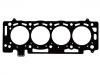 Cylinder Head Gasket:1 876 009