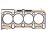 прокладка цилиндра Cylinder Head Gasket:55570773